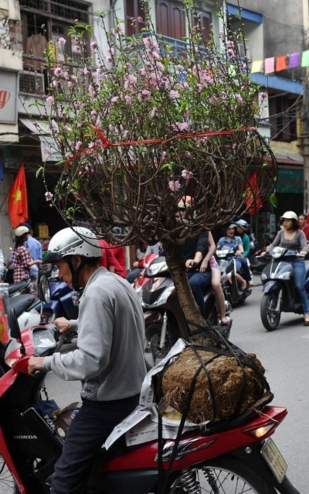 Tết Việt trên báo nước ngoài