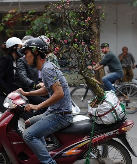 Tết Việt trên báo nước ngoài