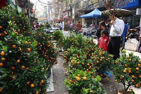 Tết Việt trên báo nước ngoài