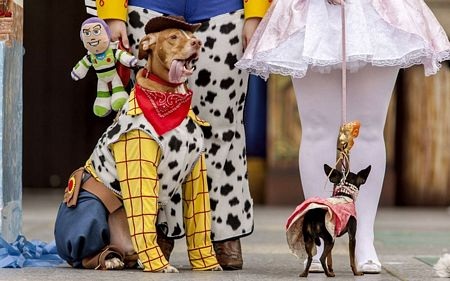 Một người tham gia lễ hội hoá trang tại Lucerne, Thuỵ Sĩ tranh thủ dùng điện thoại di động.