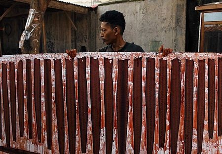 Một người đàn ông phơi những miếng da rắn sau khi được nhuộm.