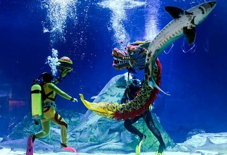 Một bé gái Mộc Châu phụ giúp bố mẹ bán đào.