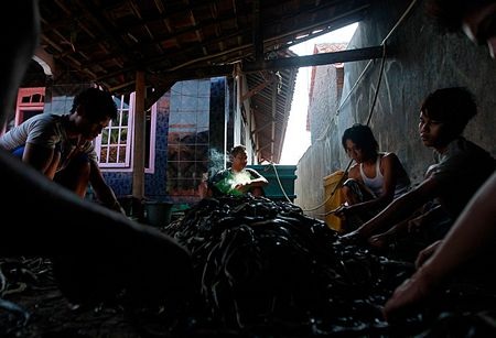 Sau công đoạn lột, da rắn được dội sạch để chuẩn bị đưa vào lò sấy.