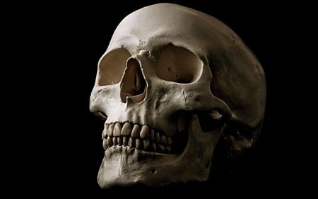 Năm 2002, một hành khách đã bắt quả tang buôn lậu một con tắc kè hoa từ Dubai vào Manchester.