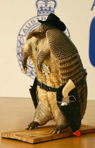 Những món đồ kỳ quặc nhất từng bị hải quan thu giữ