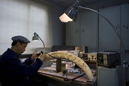 “Cơn khát vàng trắng” ở Trung Quốc