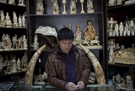 Ông Xu đang tỉ chạm tác phẩm “Giấc mơ của lâu đài đỏ”, dự kiến mất 3 năm mới hoàn thành.