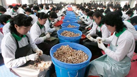 Triều Tiên “cự tuyệt” đề nghị đàm phán, cảnh báo hành động trước - 1 Khu công nghiệp Kaesong tuyển dụng 53.000 lao động Triều Tiên.