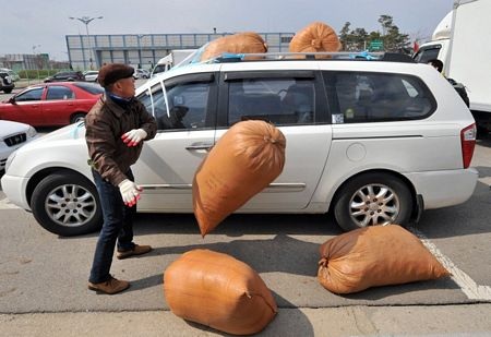 Xe cộ rồng rắn “cõng” hàng trở về từ Kaesong