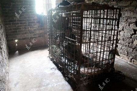 Sau vụ giết người, Wu bị bắt và bị giới chức địa phương tống giam.