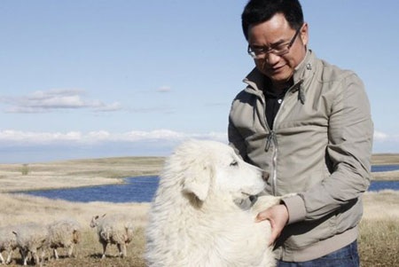 Dân Trung Quốc thâu tóm nông trại trên đất Canada - 1 Andy Hu chơi với con chó cưng tại nông trại cừu ở Ogema, Saskatchewan.
