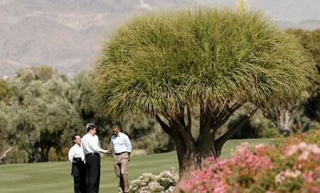 Obama tặng ghế gỗ cho Tập Cận Bình - 6 An Bình