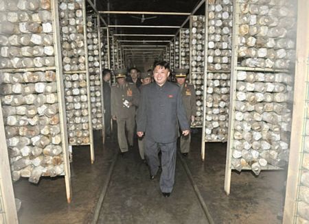 Lãnh đạo Triều Tiên Kim Jong-un thăm trang trại nấm - 2 An Bình
