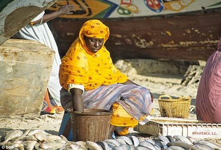 Để lấy được chồng, các cô gái phải tiêu thụ một lượng thức ăn chứa tới 15.000 calo mỗi ngày