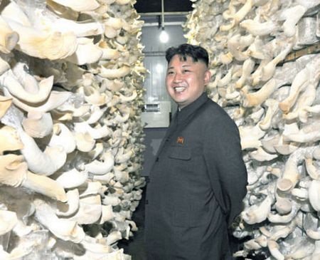 Lãnh đạo Triều Tiên Kim Jong-un thăm trang trại nấm - 5 An Bình