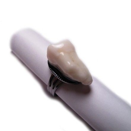 Răng gãy rụng được dùng để trang trí nhẫn.
