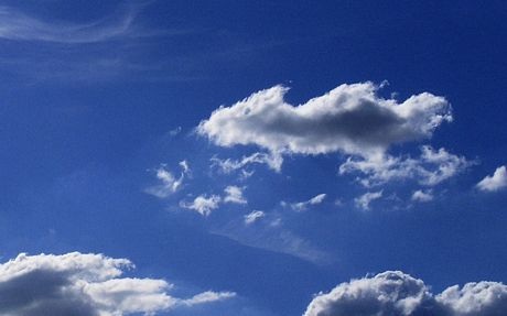 Một đám mây hình con chuột.