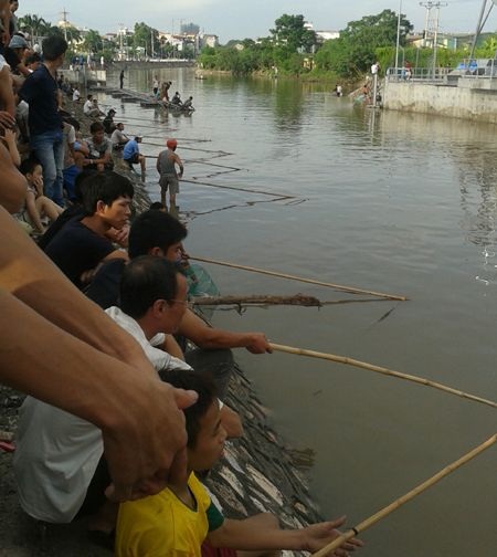 Trong ngày 10/8, khoảng vài trăm người đã tham gia đánh bắt cá gần cửa cống.