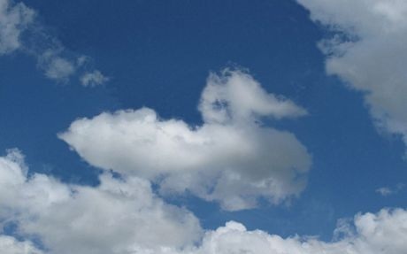 Đám mây hình một con vịt.