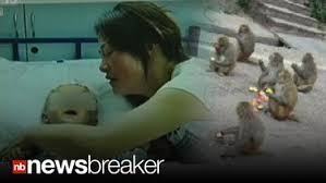 Bé trai đã được đưa vào bệnh viện để điều trị.