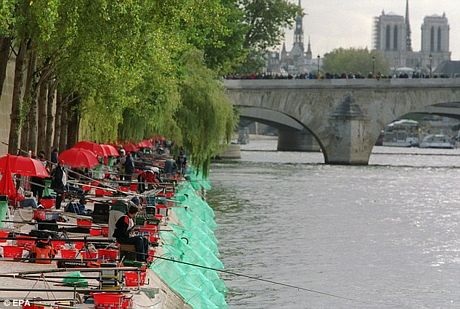 Phát hiện cá thích cắn "của quý" trên sông Seine - 1 Một cuộc thi câu cá được tổ chức trên sông Seine vài năm trước.