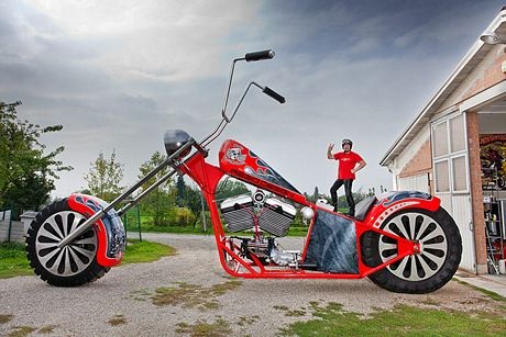 Những kỷ lục lập dị trong sách Guinness 2014 - 9 Con dê Happie, ở Florida, Mỹ, được ghi vào sách Guinness với thành tích trượt ván lâu nhất.