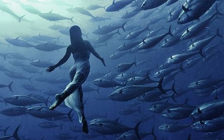 Những hình ảnh ấn tượng tuần qua - 16 Núi lửa phun trào nham thạch nóng bỏng tại Pahoa, Hawaii, Mỹ.