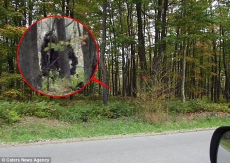 Phát hiện 2 "quái vật Bigfoot" ở Mỹ - 1 Hình ảnh 2 quái vật Bigfoot đi lại trong rừng.