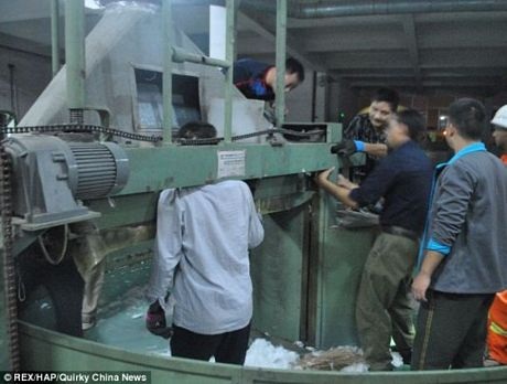 Sự cố hi hữu công nhân bị kẹt đầu trong máy dệt - 1 Sự cố hi hữu công nhân bị kẹt đầu trong máy dệt