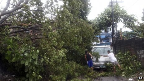 Siêu bão Haiyan càn quét miền trung Philippines - 4 Các cây xanh bị gió bão quật đổ.