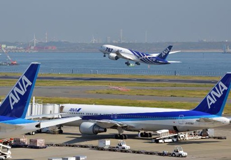 Các máy bay của hãng hàng không Nhật ANA tại sân bay Haneda ở Tokyo.