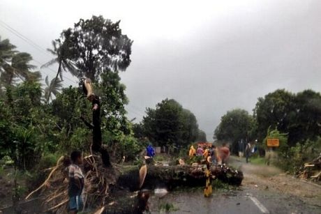 Ảnh bão Haiyan tàn phá miền trung Philippines - 9 Cây đổ ngang đường làm cản trở giao thông ở Irosin, tỉnh Sorsogon.