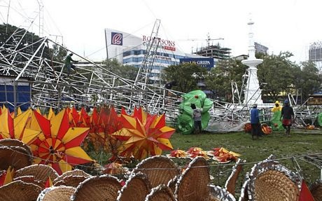 Ảnh bão Haiyan tàn phá miền trung Philippines - 14 Gió bão quật đổ cây cổ thụ tại Barangay Mabolo, thành phố Cebu.