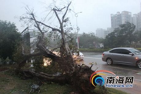 Haiyan là cơn bão thứ 30 ảnh hưởng tới Trung Quốc kể từ đầu năm nay.