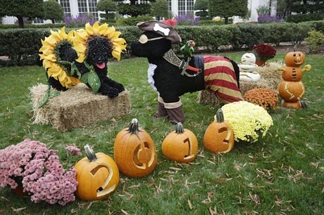 Những quả bí ngô được khoét ruột và trạm khắc để xếp thành chữ Happy Halloween.