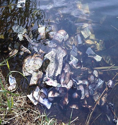 Phát hiện cả “núi tiền” dưới sông - 1 Phát hiện cả “núi tiền” dưới sông