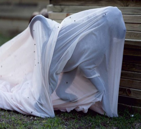 “Đạo chích” khỉ đột nhập nhà dân chôm đồ - 2 Một con khỉ dùng ga giường để ngụy trang.