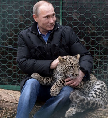 Ông Putin chơi với một con báo.