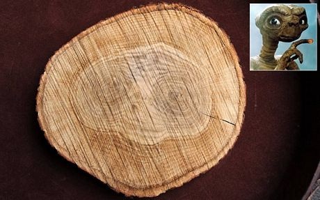 Những hình ảnh thế giới ấn tượng tuần qua - 9 Một phụ nữ bị thương đang được đưa đi sau vụ nổ tại ngoại ô Beirut, Li-băng.