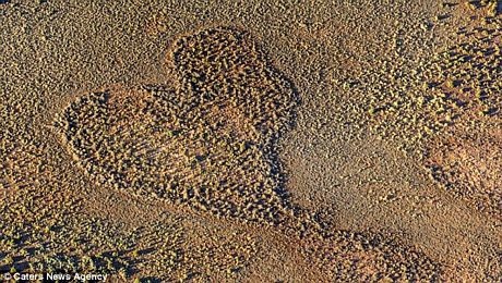 Ngây ngất với những trái tim lãng mạn giữa thiên nhiên - 1 Ngây ngất với những trái tim lãng mạn giữa thiên nhiên