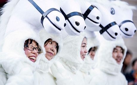 Một cậu bé chơi đánh đu gần núi lửa Tungurahua phun trào tại Banos, Ecuador.