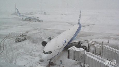Bão tuyết đã gây ảnh hưởng nghiêm trọng tới giao thông hàng không, đường sắt và đường bộ.