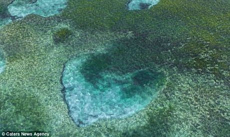 Ngây ngất với những trái tim lãng mạn giữa thiên nhiên - 2 Hồ nước hình trái tim ở phía bắc Playa del Carmen tại Mexico.