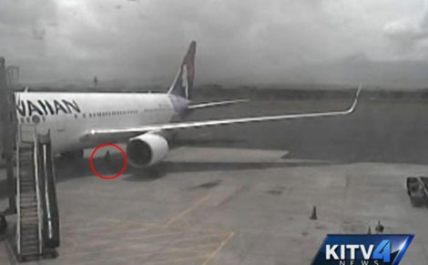 Mỹ công bố video hành khách "lậu" chui ra từ khoang bánh máy bay - 1 Cậu thiếu niên lang thang trên đường băng sau khi chui ra từ khoang bánh.