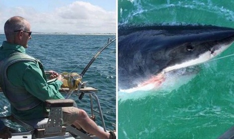 Phát hoảng khi câu được một con cá mập trắng khổng lồ - 1 Andy Hales và chiến tích của mình. (Nguồn: BPM)