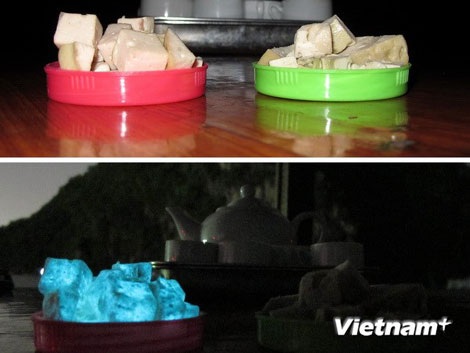 Quảng Ninh: Giò lụa phát sáng bất thường trong đêm - 1 Giò phát ánh sáng màu xanh dương bất thường trong đêm. (Ảnh: Xuân Tùng/Vietnam+)