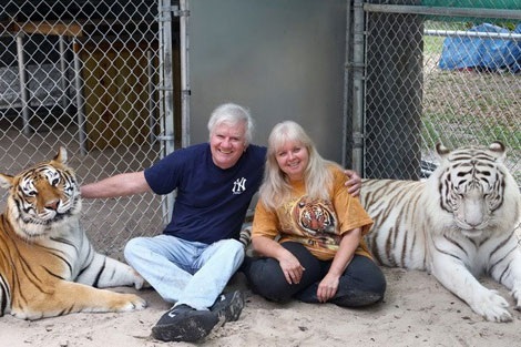 Janice và chồng của cô David sống cùng hai con hổ. (Nguồn: mirror.co.uk)