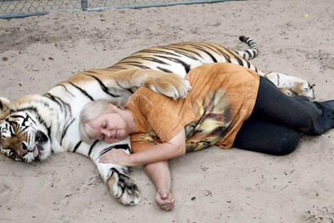 Janice ngủ cùng con hổ. (Nguồn: mirror.co.uk)