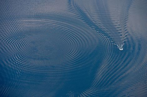 Những hình ảnh thế giới nổi bật tuần qua - 17 Một chiếc thuyền đang chạy trên hồ Scharmuetzelsee gần vùng Bad Sarow, miền đông nước Đức.