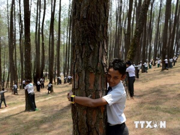 Hơn 2.000 người dân Nepal ôm cây bảo vệ môi trường - 1 Hơn 2.000 người dân Nepal ôm cây bảo vệ môi trường